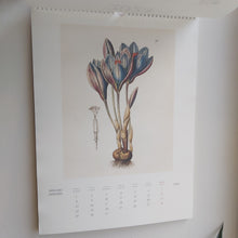 Last inn bildet i Galleri-visningsprogrammet, Kalender med botaniske motiver
