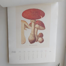 Last inn bildet i Galleri-visningsprogrammet, Kalender med botaniske motiver
