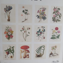 Last inn bildet i Galleri-visningsprogrammet, Kalender med botaniske motiver
