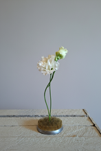 Load image into Gallery viewer, Blomsterfakir (Kenzan)
