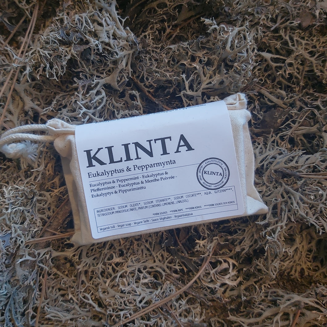 Klinta såpestykke